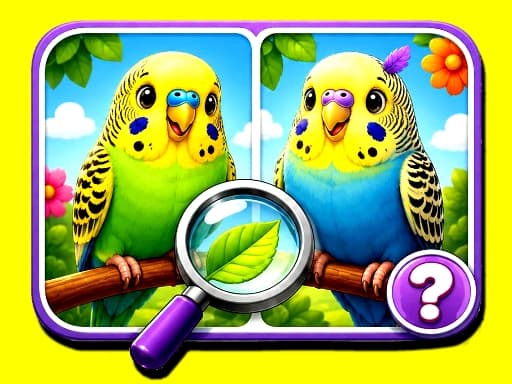 Budgie Spot the Difference preview